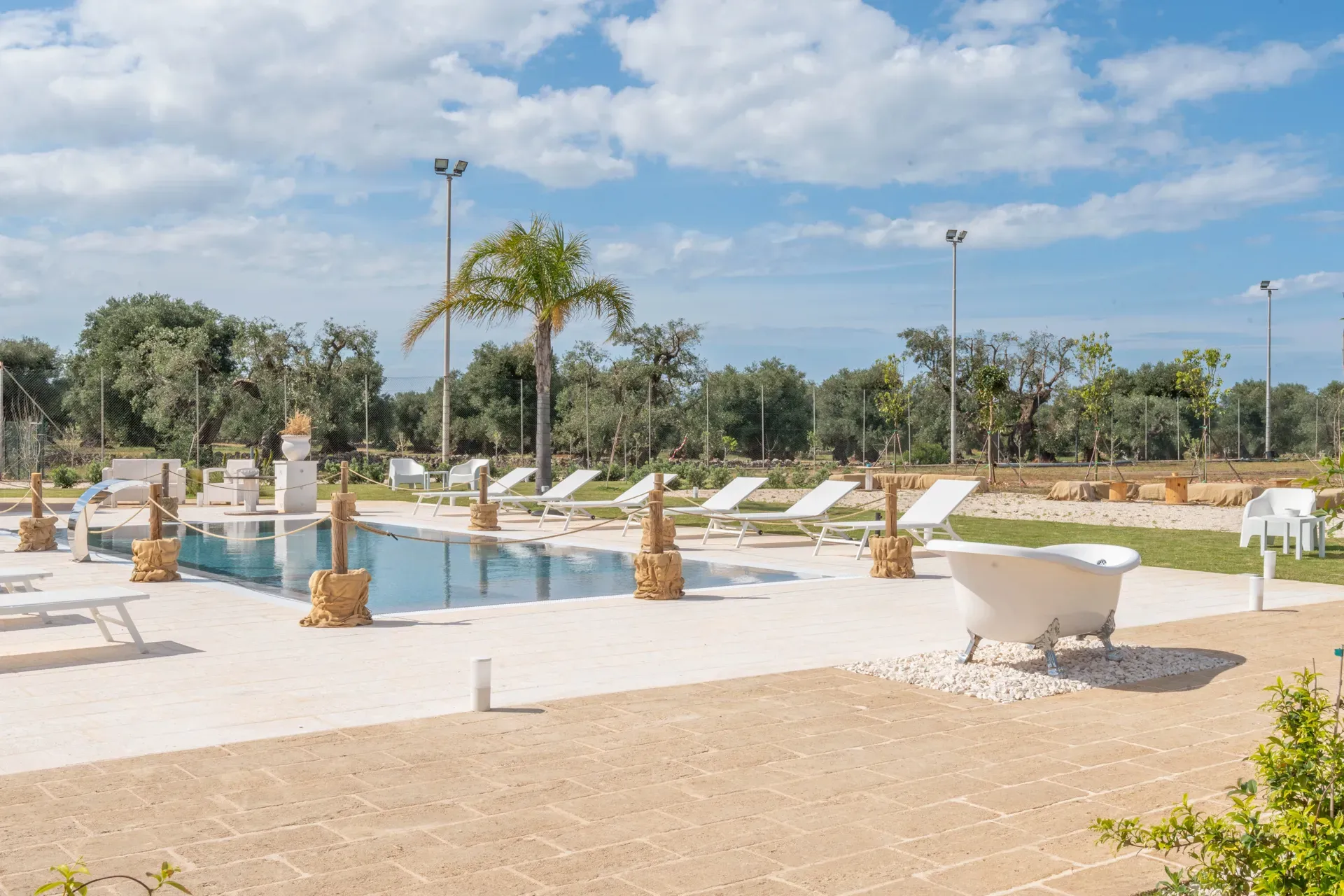 Piscina tra gli ulivi a Dimora Tauro